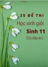 Bộ 25 Đề thi học sinh giỏi Sinh 11 (Có đáp án)